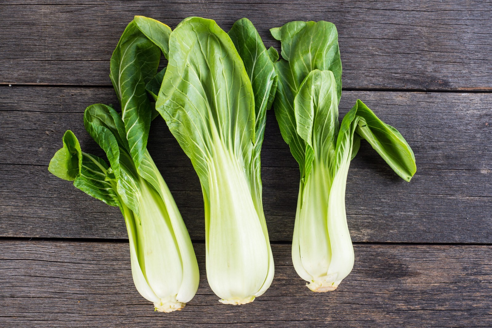 Pak Choi (Bok Choy) Chinese Cabbage Seeds Non-GMO USA Ships Free Bulk Seeds