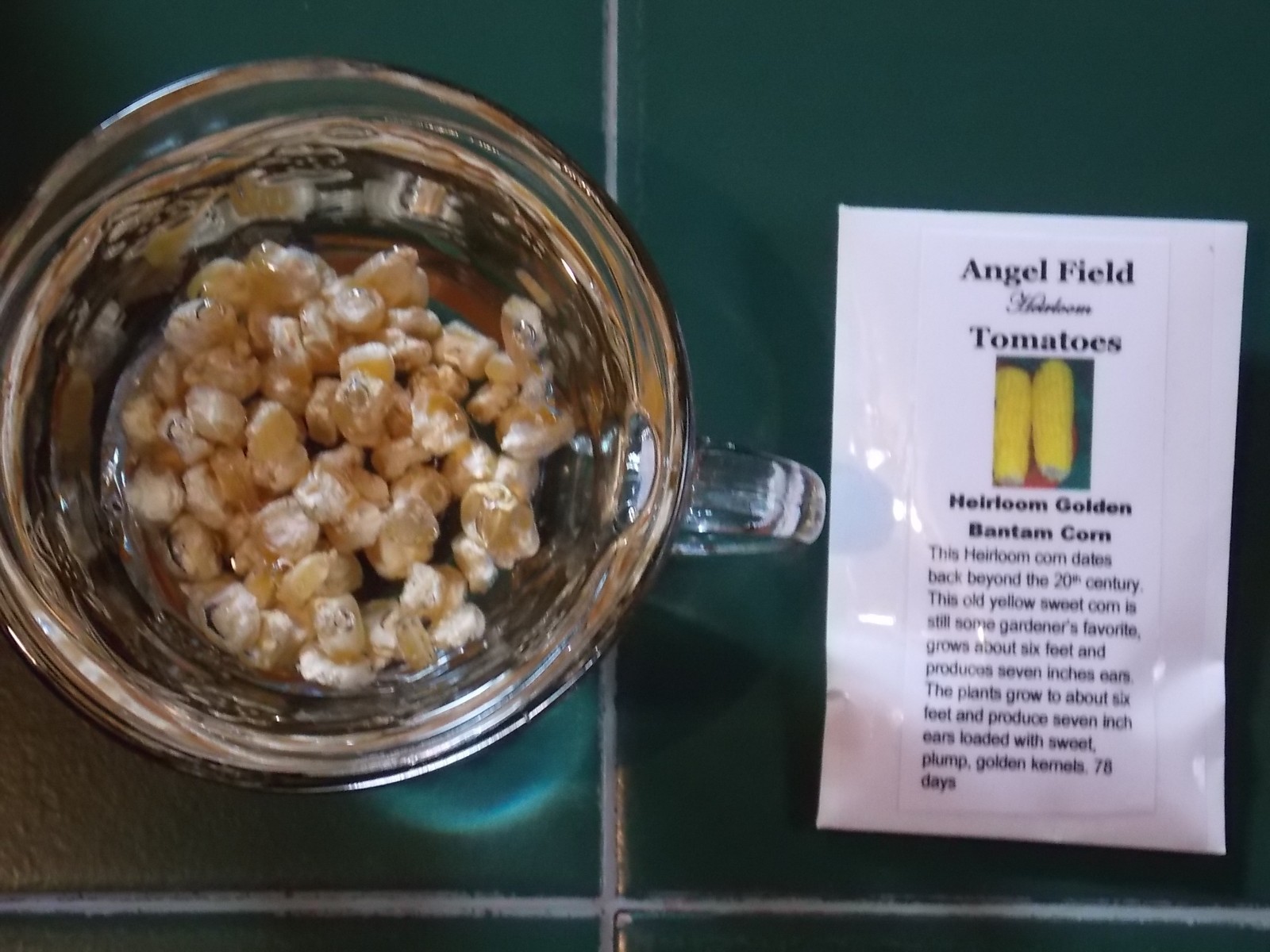 50 Golden Bantam Native American Corn Seeds “Plus 2 Packs of Vegetable Seeds