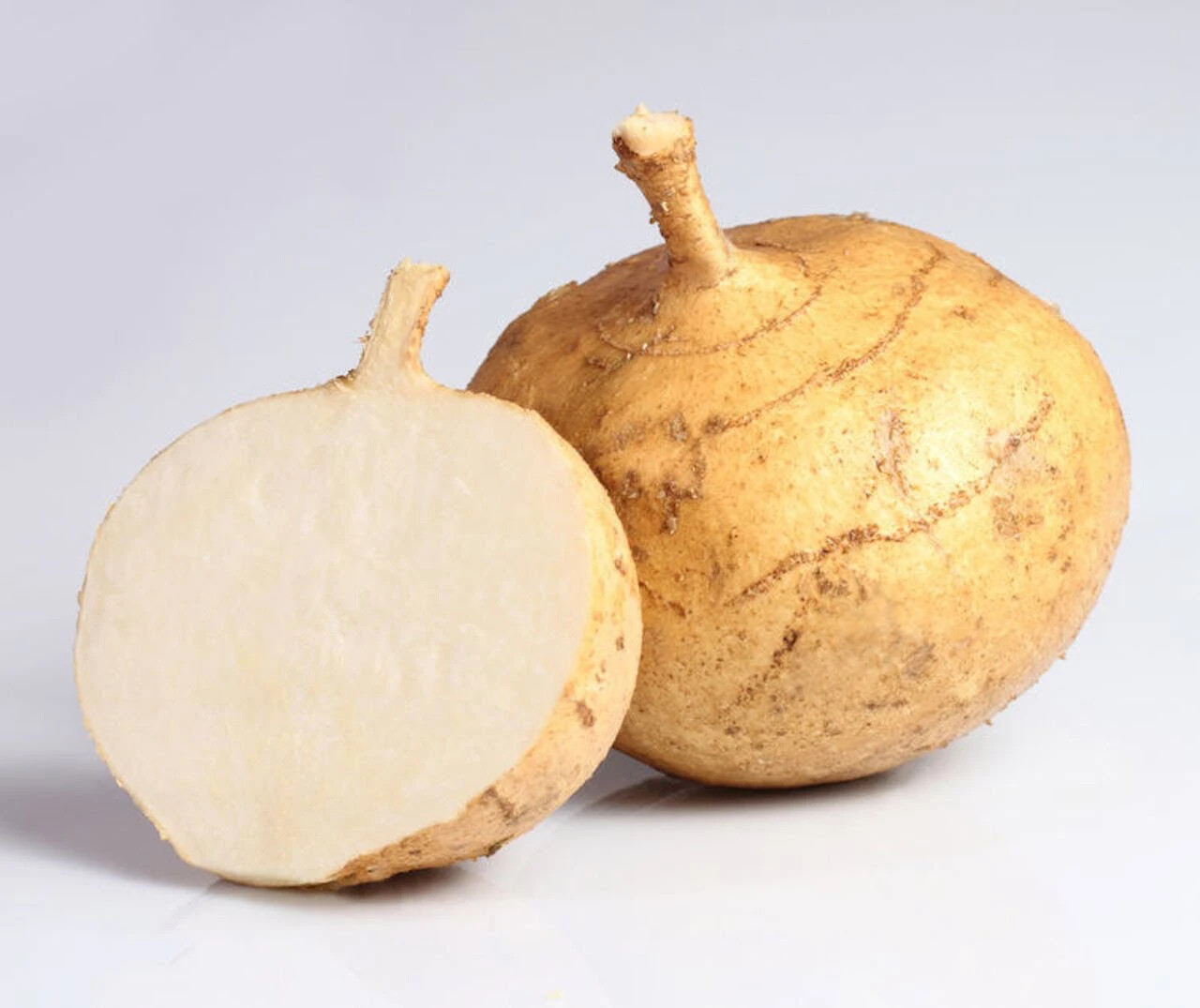 JICAMA SEEDS – HẠT CỦ SẮN, CỦ ĐẬU |NEW SEEDS 2023|