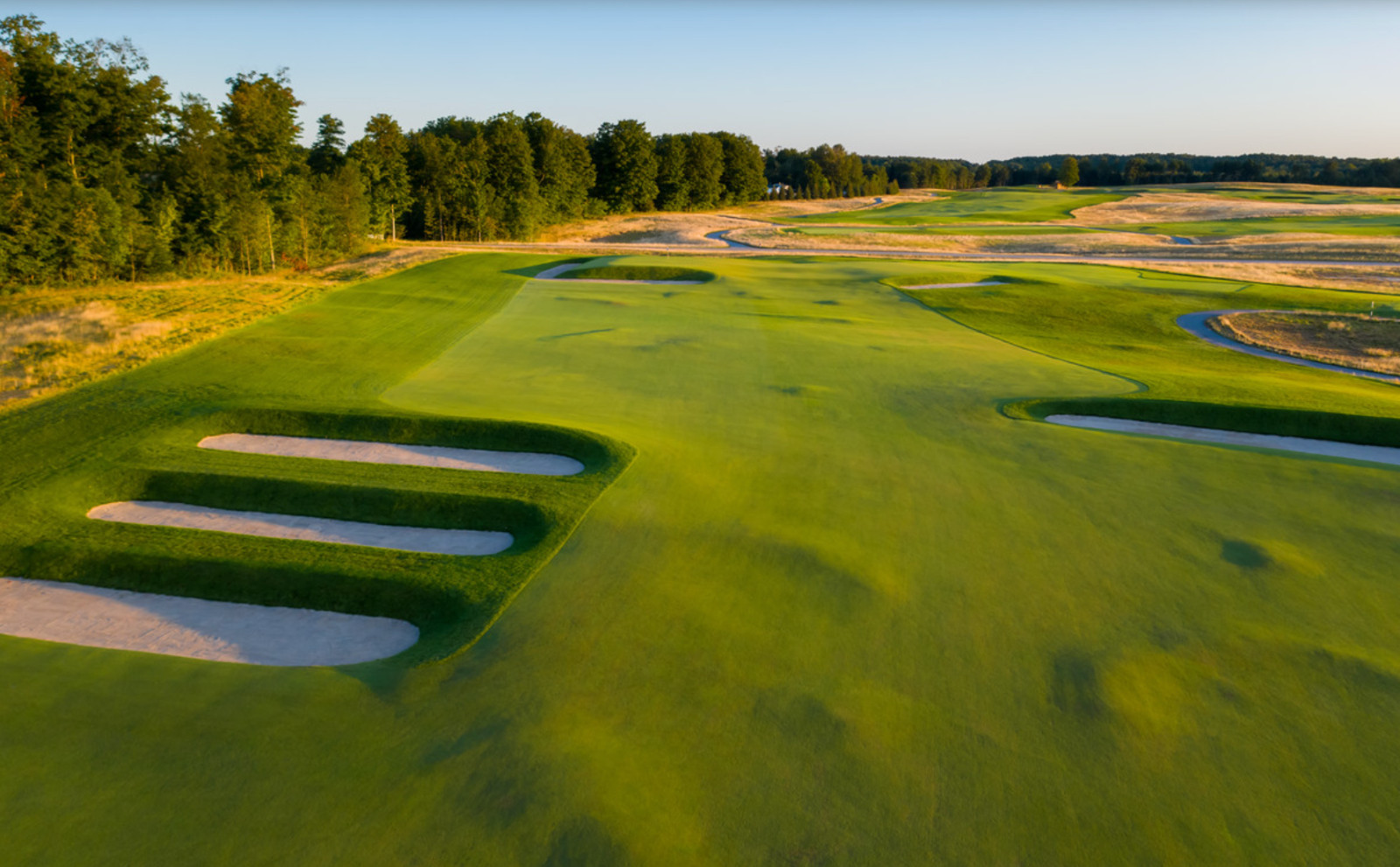 007 Creeping Bentgrass Seed 40,000 seeds