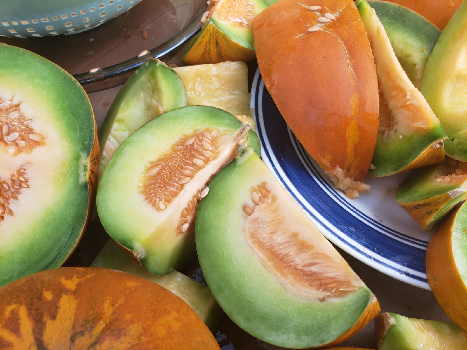 White Lion Green Orange Fleshed Melon Seeds! RARE Small Sweet Heirloom -Tracking
