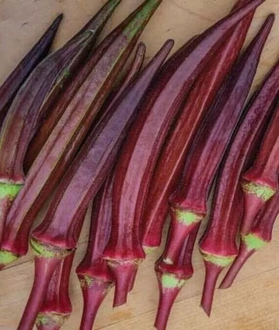 50+ Red Burgundy Okra Seeds – NON GMO — Heirloom — FRESH