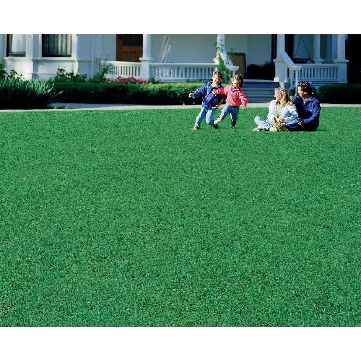 Barenbrug 135936 Quick Grass Seed, 3 lb.