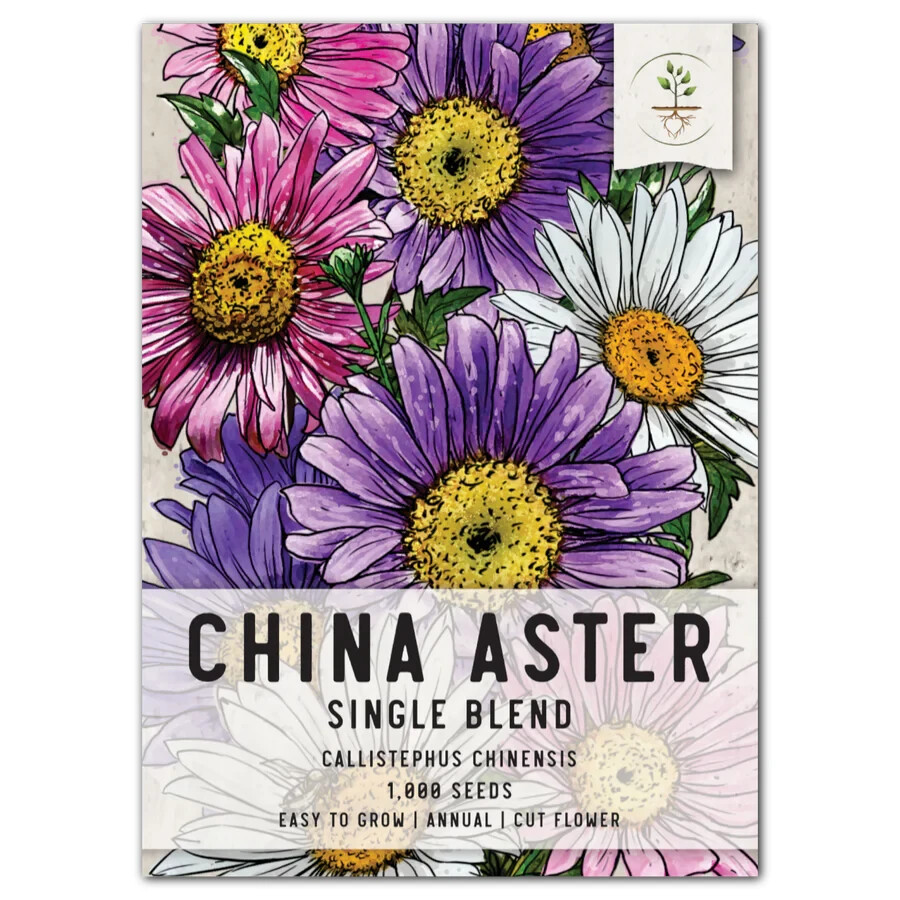 3 – China Aster Seeds For Planting, Single Blend (Callistephus chinensis) 1,000
