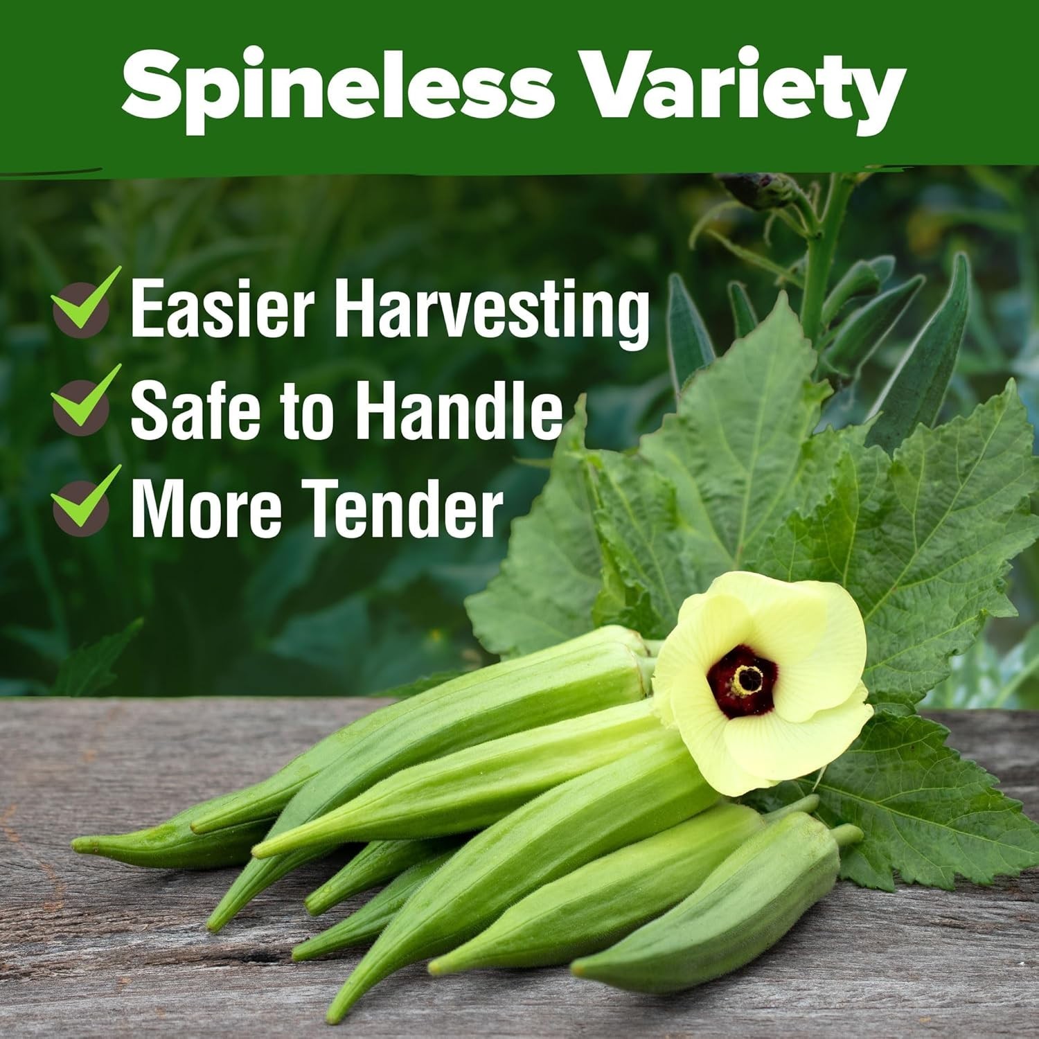 Easy to Grow Spineless Okra Seeds – 101+ Heirloom Seeds for Fresh Produce