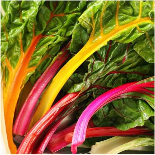 Swiss Chard Seeds For Planting, Rainbow Mixture (Beta vulgaris)