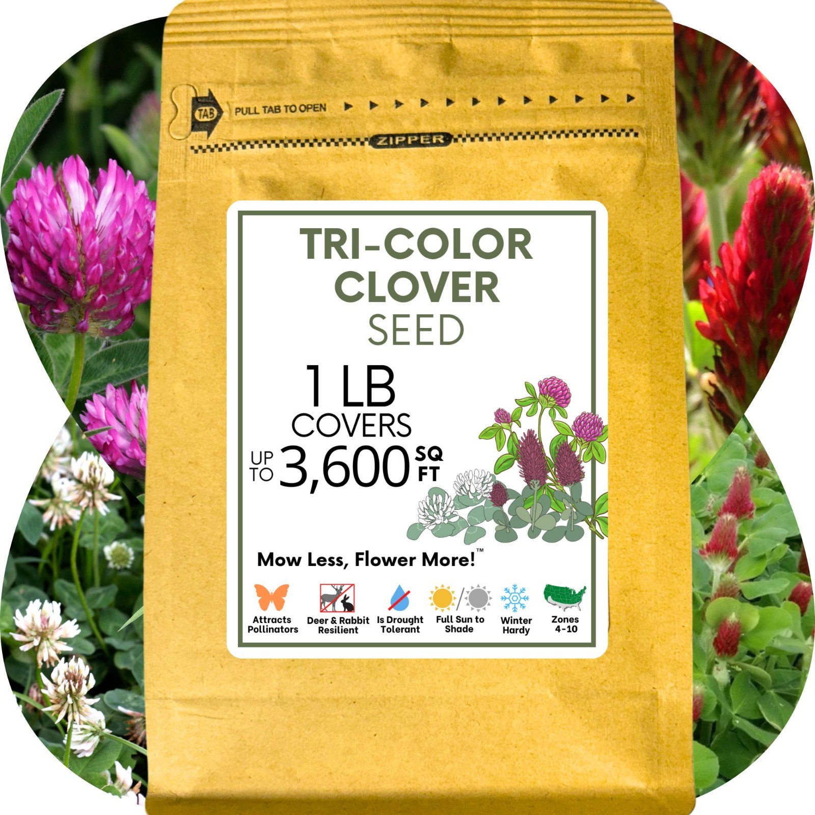 Flawn Seed Kits Tri-Color Clover Seed, Equal Mix 3 Clovers, Flowering Lawn
