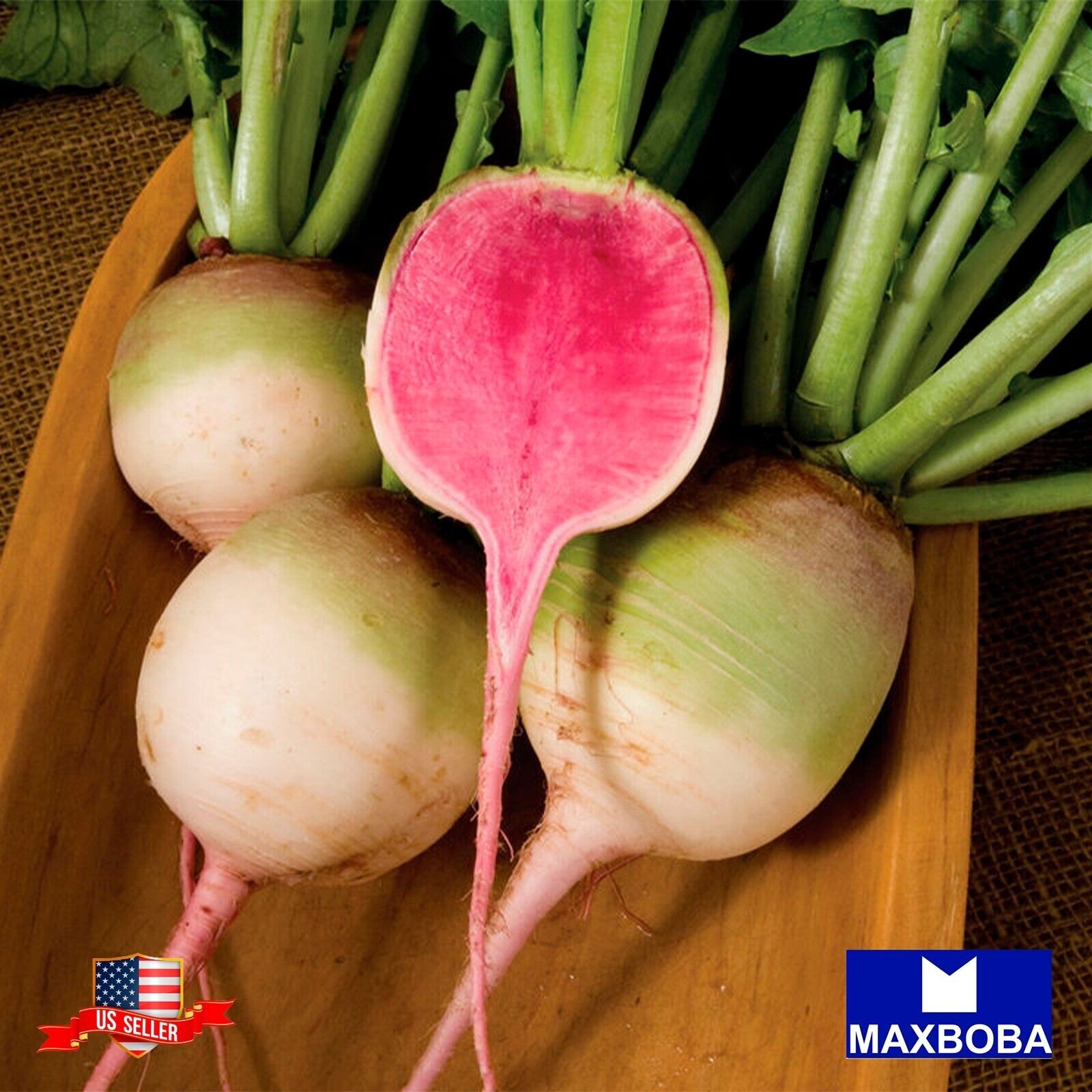 Fresh!!Watermelon Raphanus Sativus Seeds Radish Non-GMO Heirloom Vegetable
