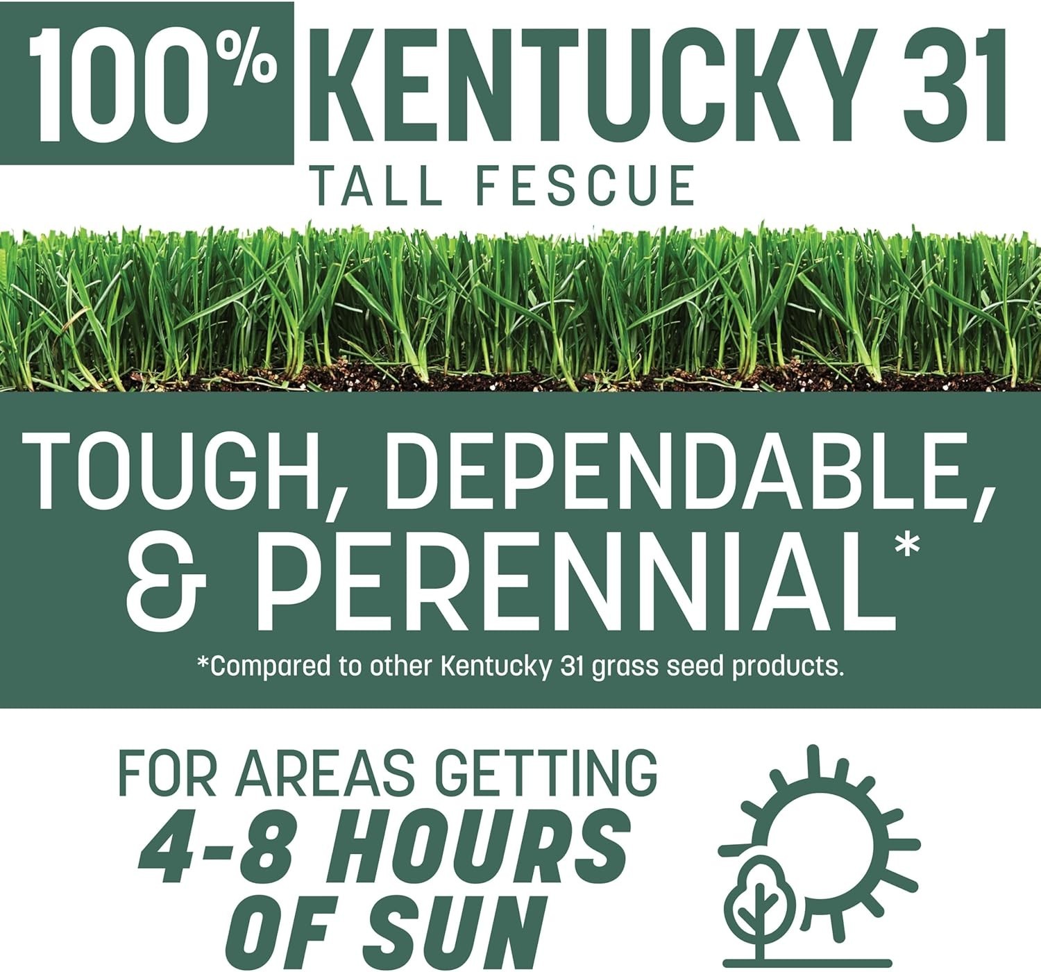 Penkoted Kentucky 31 Tall Fescue Grass Seed – 3 lb for Drought Resistance