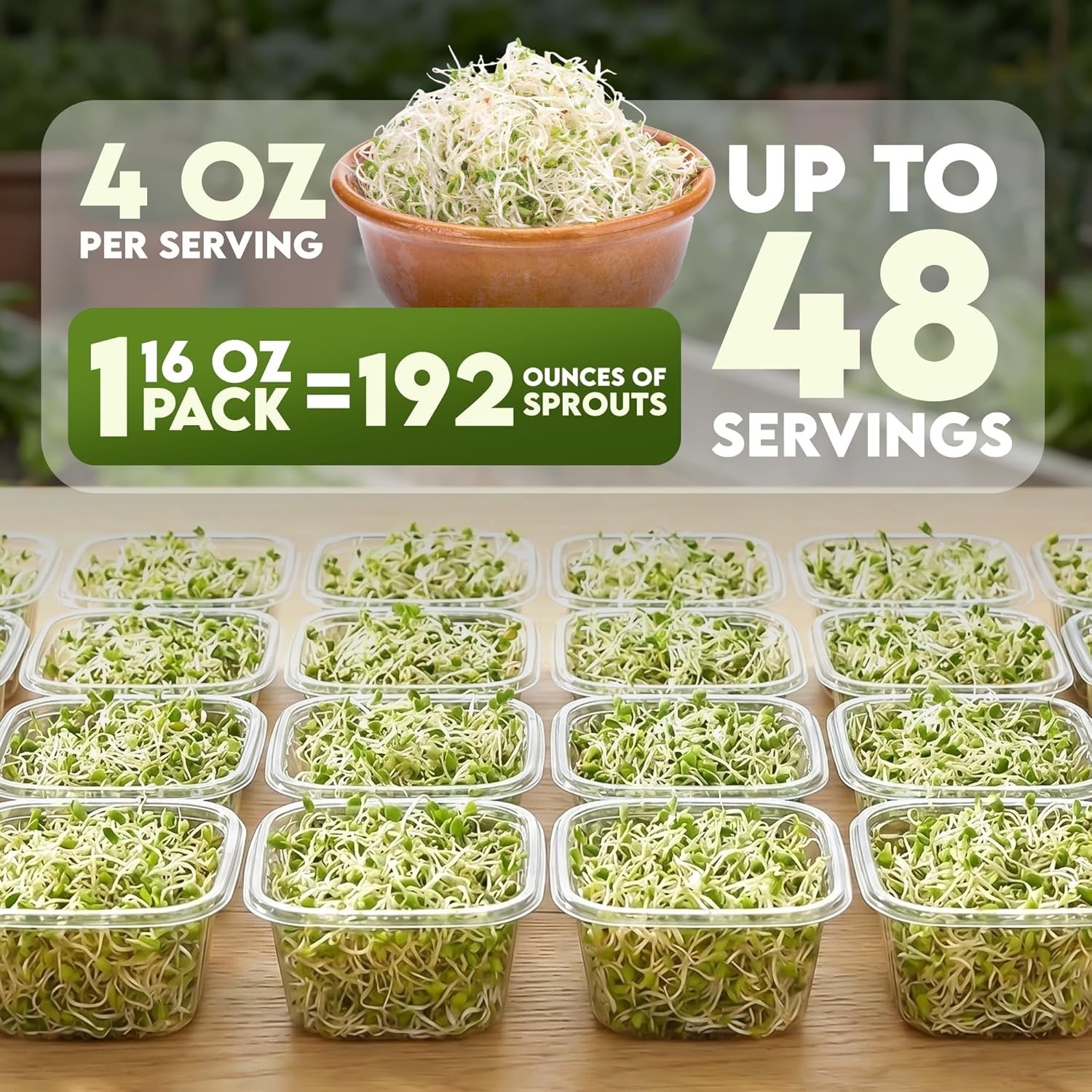 Alfalfa Seeds – Non-GMO Organic Sprout Growing Kit for Planting – Resealable…