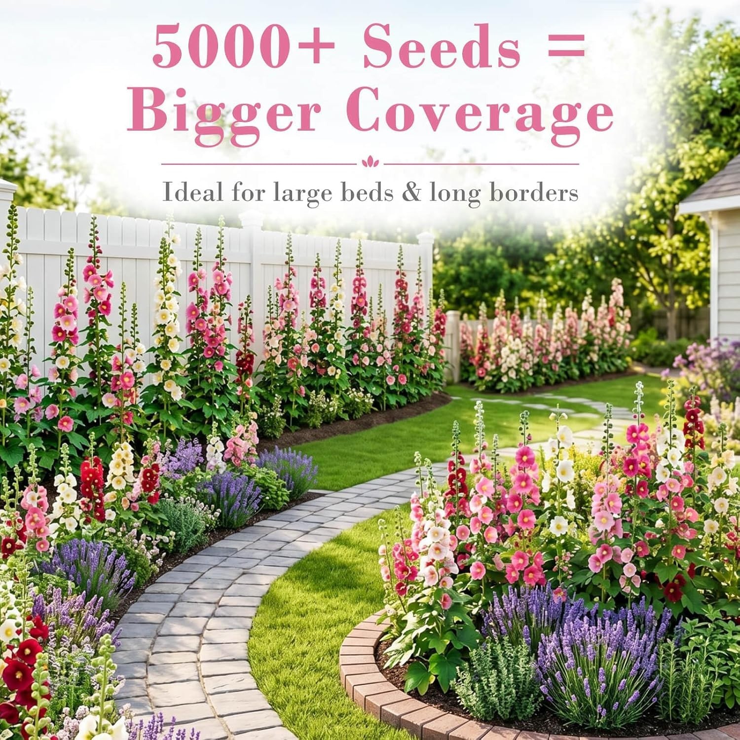 Bulk Pack 5000+ Hollyhock Seeds Mix – Tall Garden Blooms