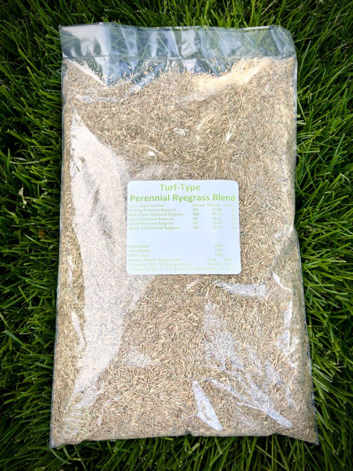 Perennial Ryegrass Turf Type Grass Seed Blend 3 lb Overseed Sports Field Lawn