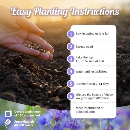 Low Growing Wildflower Seeds Mix – 1oz, 6-12 Inches Short Flowers – Non-GMO