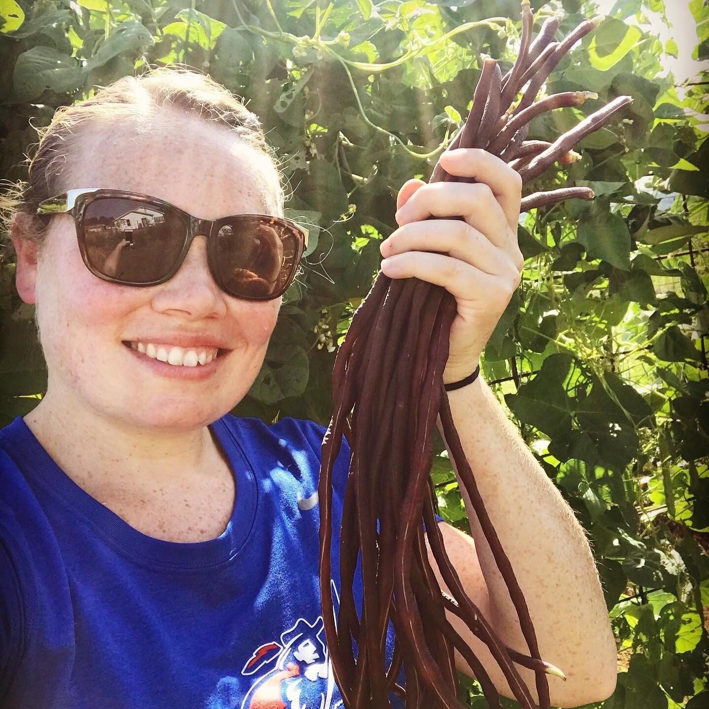 20+ Red Chinese Yardlong Noodle Beans Asparagus Beans Pole Type Climbing
