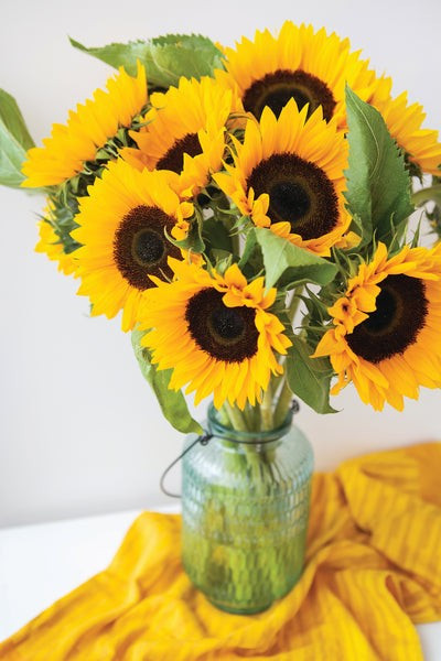 30 Dwarf Sunspot Sunflower Seeds- With Bonus! |Organic Non-GMO Heirloom