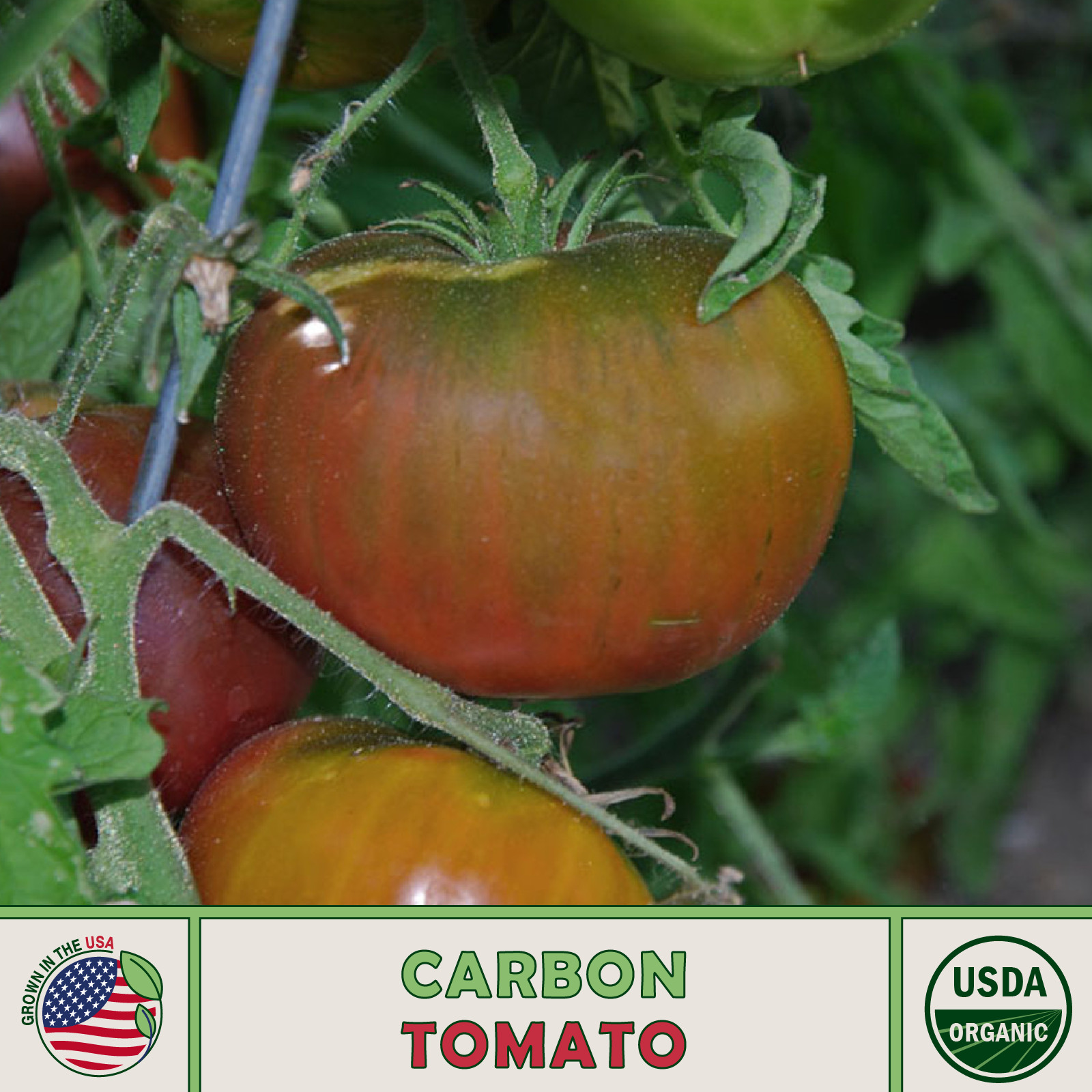 10 Carbon Tomato Seeds, Organic, Heirloom, Non-GMO, Genuine USA