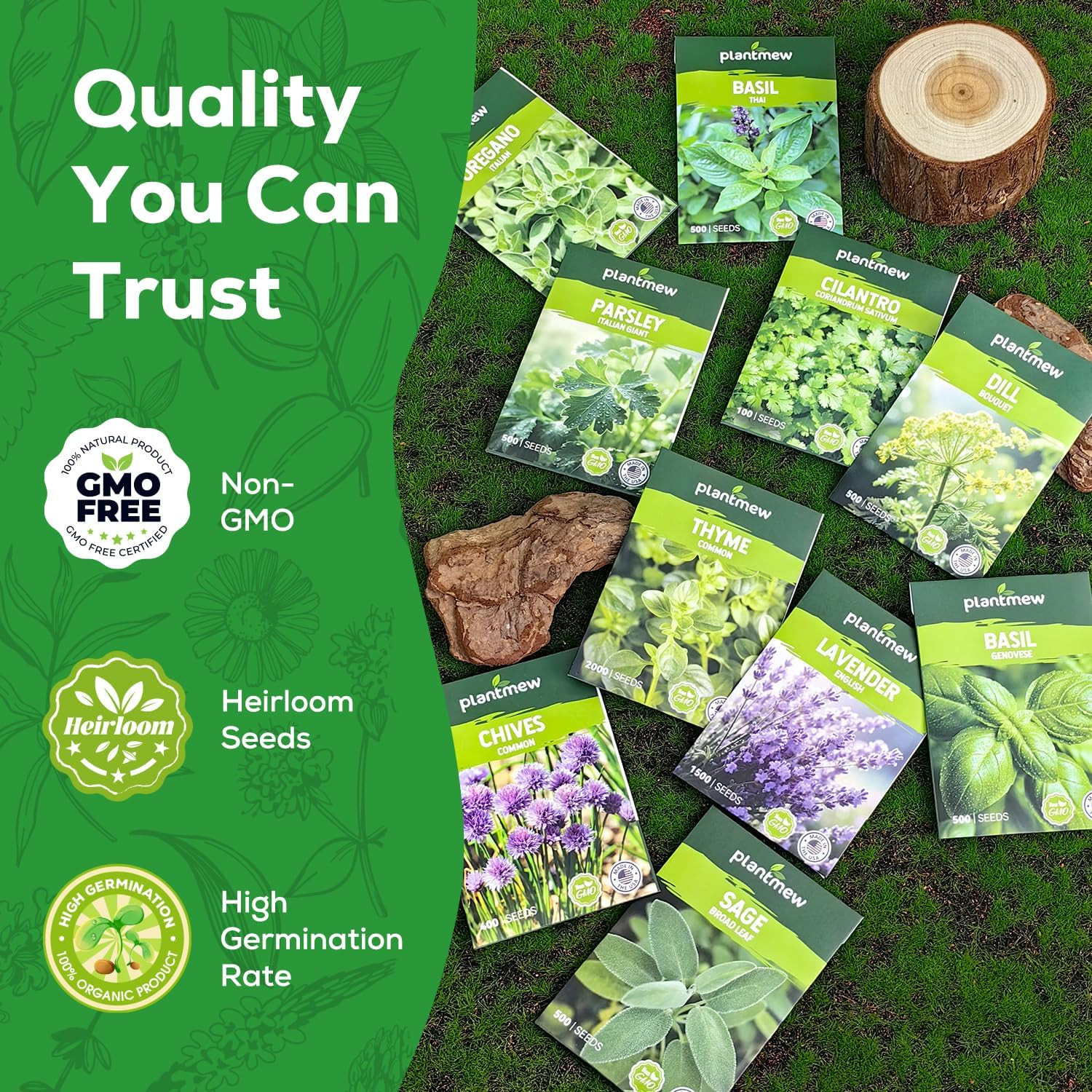 Assorted Non-Gmo Herb Seed Pack – 10 Heirloom Varieties for Gardening