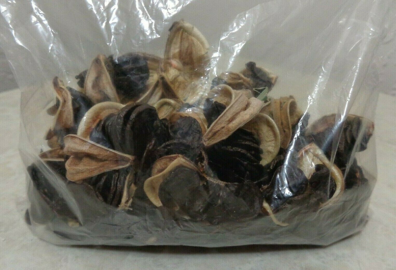2026 Red Amaryllis 20+ Seeds coming from central Florida