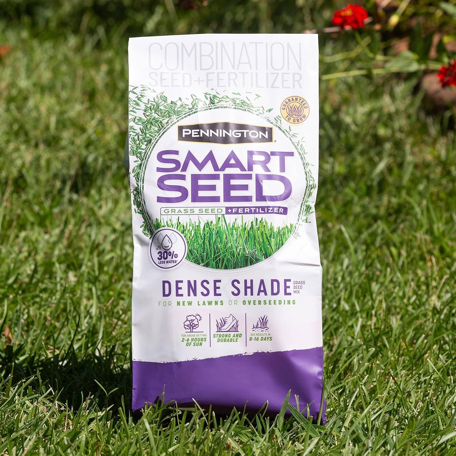 7 lb Pennington Smart Seed Dense Shade Grass Mix – Eco-Friendly for Low Light