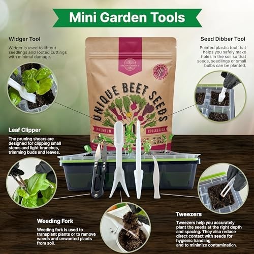 10 Rare Beet Seeds Variety Pack – Heirloom Non-GMO Bulk for Indoor/Outdoor Garde