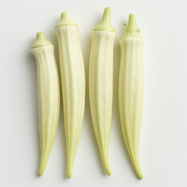50+ Silver Queen Okra Seeds — High Yield — Heirloom — Organic —— RARE
