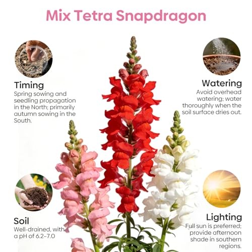 1500+ for USDA 1-12 Planting, 18-24’’ Tall Snap Tetra Mix Snapdragon Seeds