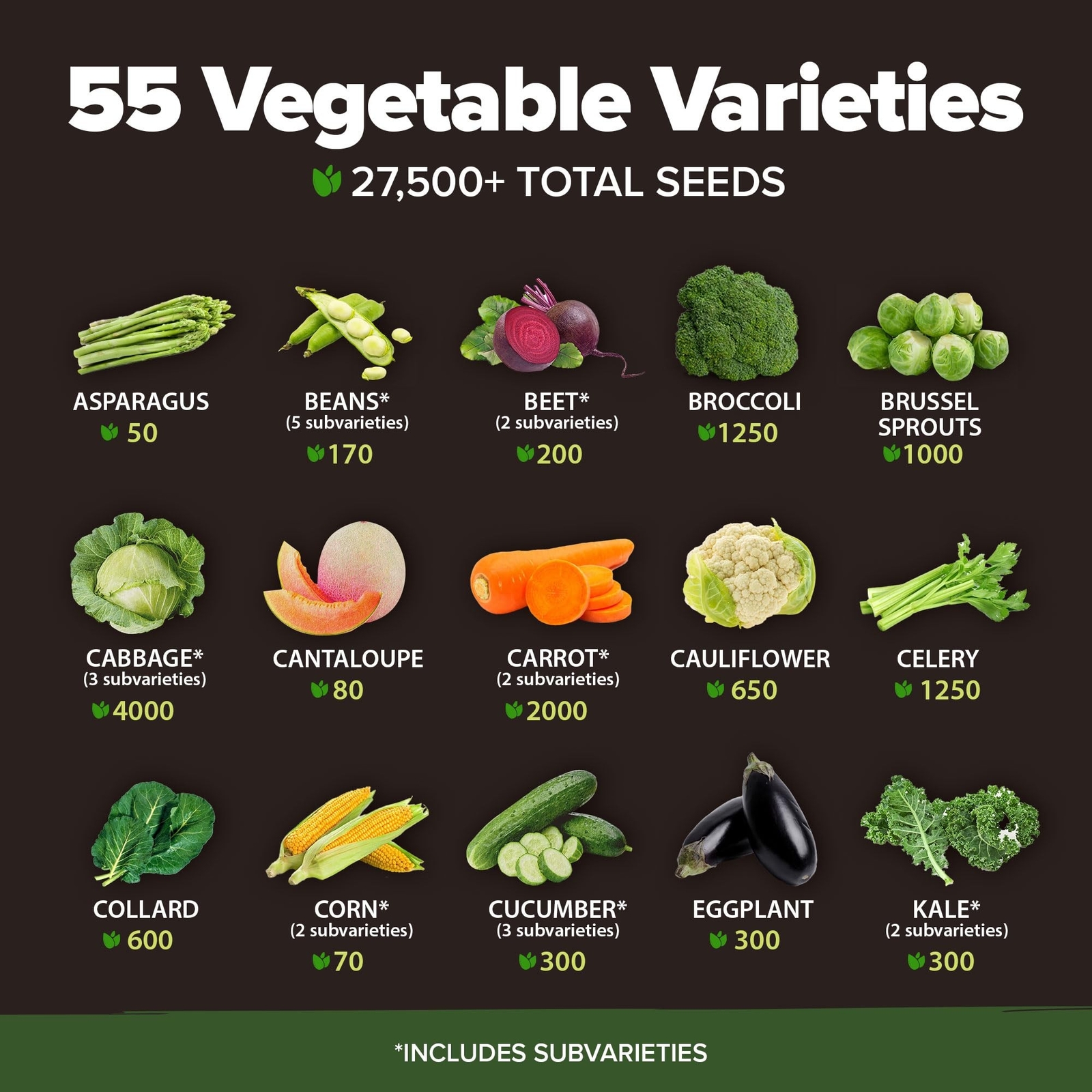 HOME GROWN 55 Vegetable Seeds Pack | Spring, Fall, Winter Heirloom Vegetables…