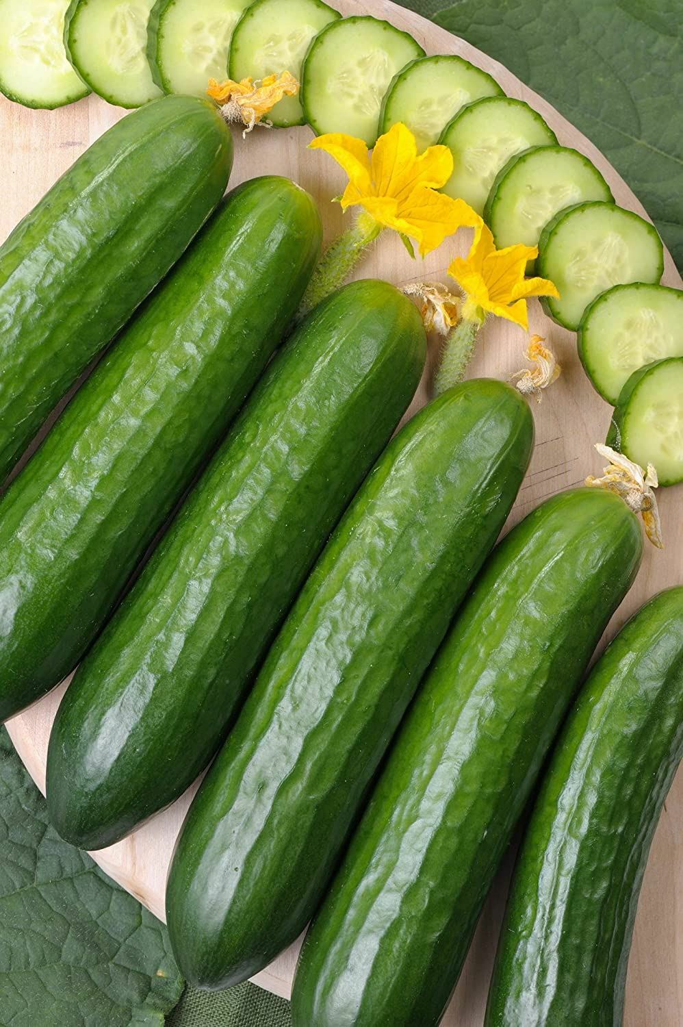 Cucumber Seed , Marketer Cucumber Seeds,”COOL BEANS N SPROUTS” Brand. Home Garde
