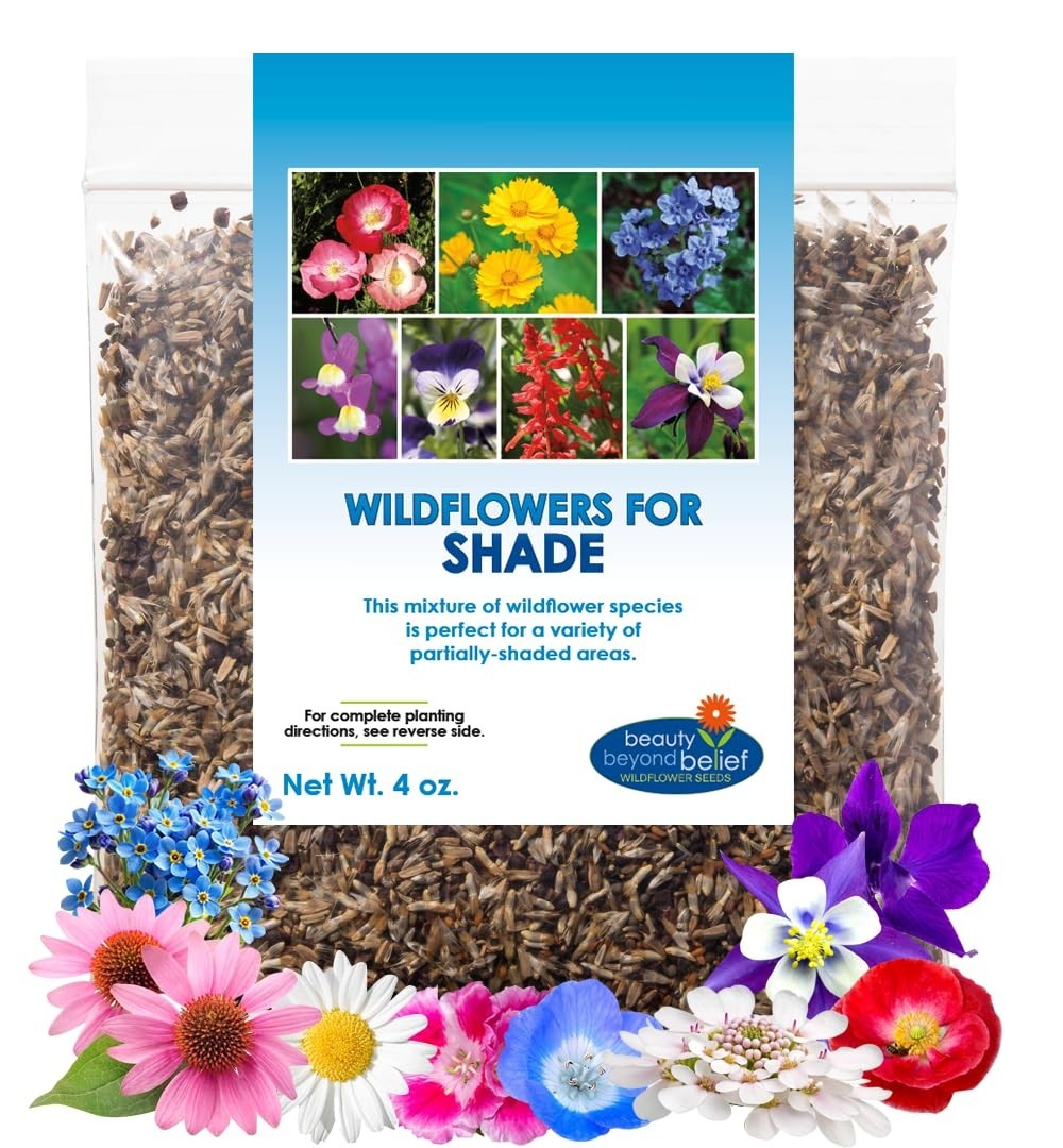 Wildflower Seed Mix 4oz – Open-Pollinated, No Fillers, Annual & Perennial Seeds