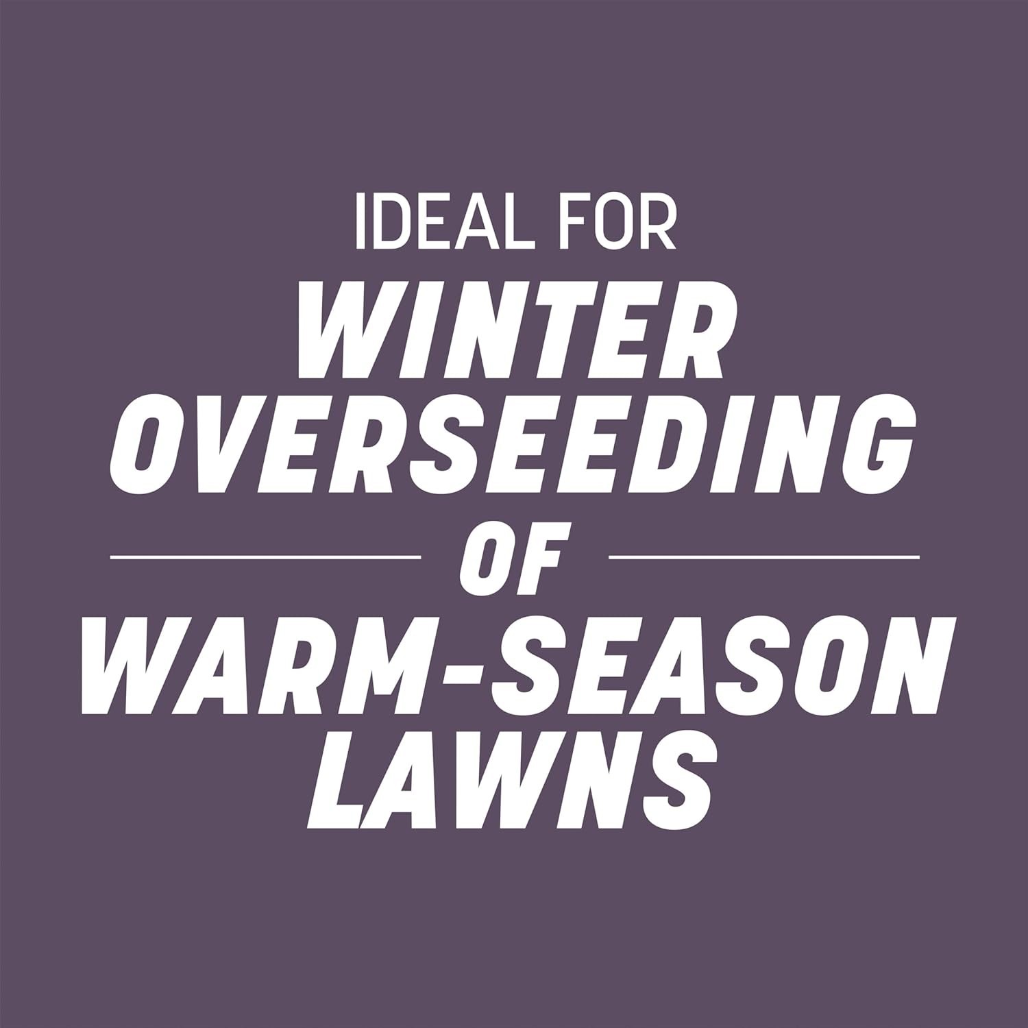 Fast-Growing Annual Ryegrass Seed, 10 Lb – Disease-Resistant Lawn Solution