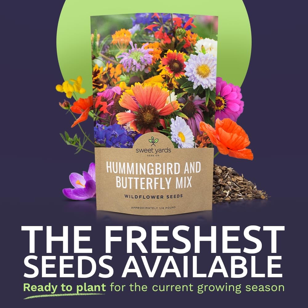 1/4 Pound Wildflower Seeds Butterfly Hummingbird Mix Over 30000 Open Pollinated