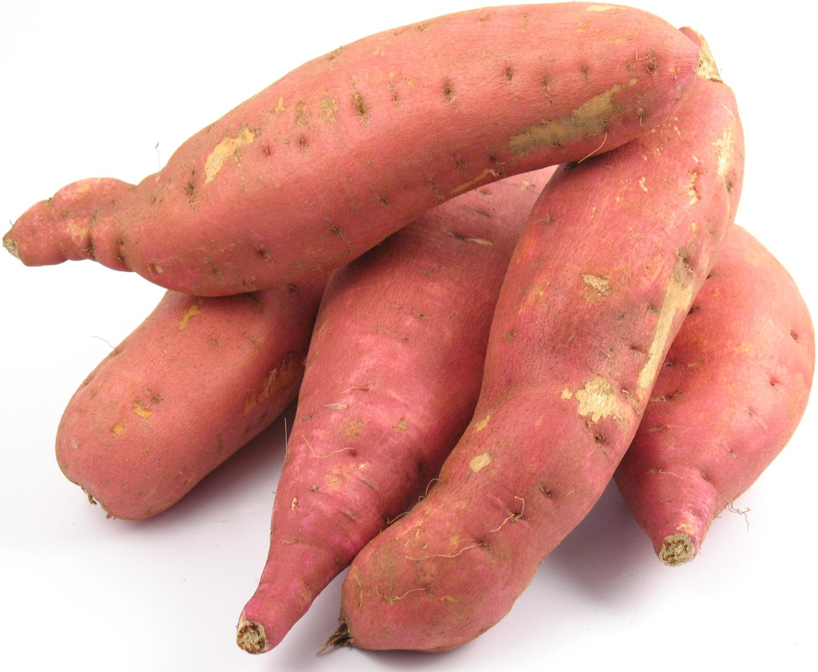 Garnet Sweet Potatoes Tubers Organic For Planting or Cooking Non GMO