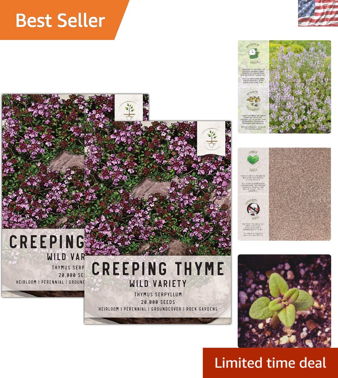 40,000 Heirloom Wild Creeping Thyme Seeds for Vibrant Rock & Butterfly Gardens