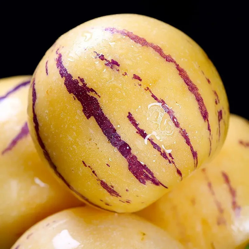 10 Pcs ginseng fruit seeds, Longevity fruit seeds