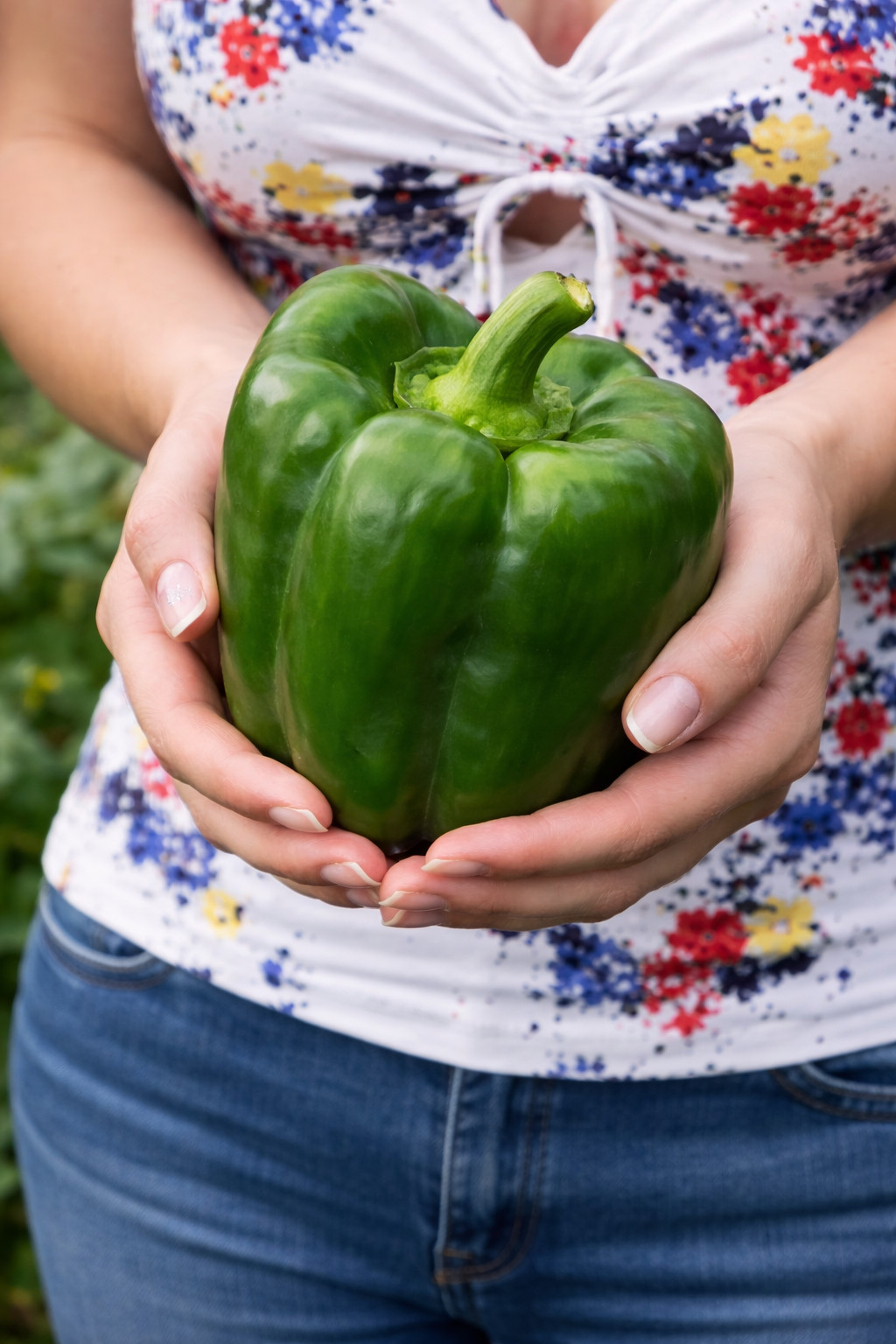 50 Heirloom Emerald Giant Pepper Seeds – Giant Sweet Green Bell Pepper – No Heat