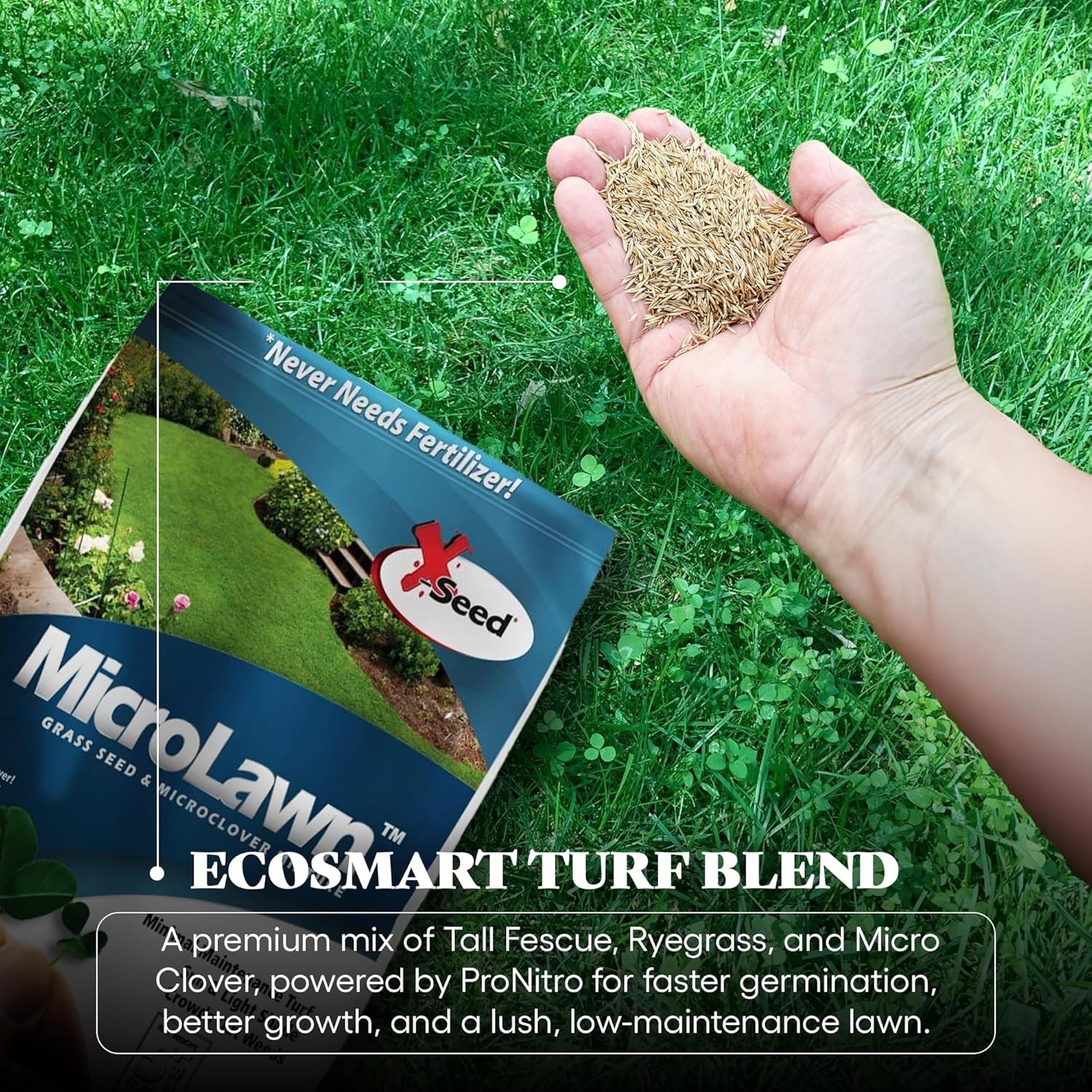 X-Seed Microlawn Grass Seed & Microclover Mix – Dense Self Feeding Lawn, Sun &