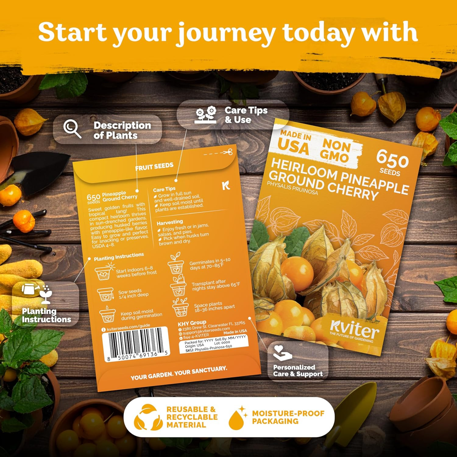 650 Aunt Molly Ground Cherry Seeds for Planting (Physalis Pruinosa) – Non GMO &