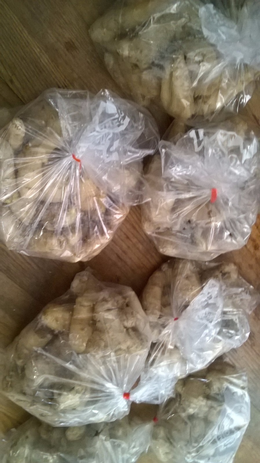 Ginger roots mature (Approx. 3 POUNDS)