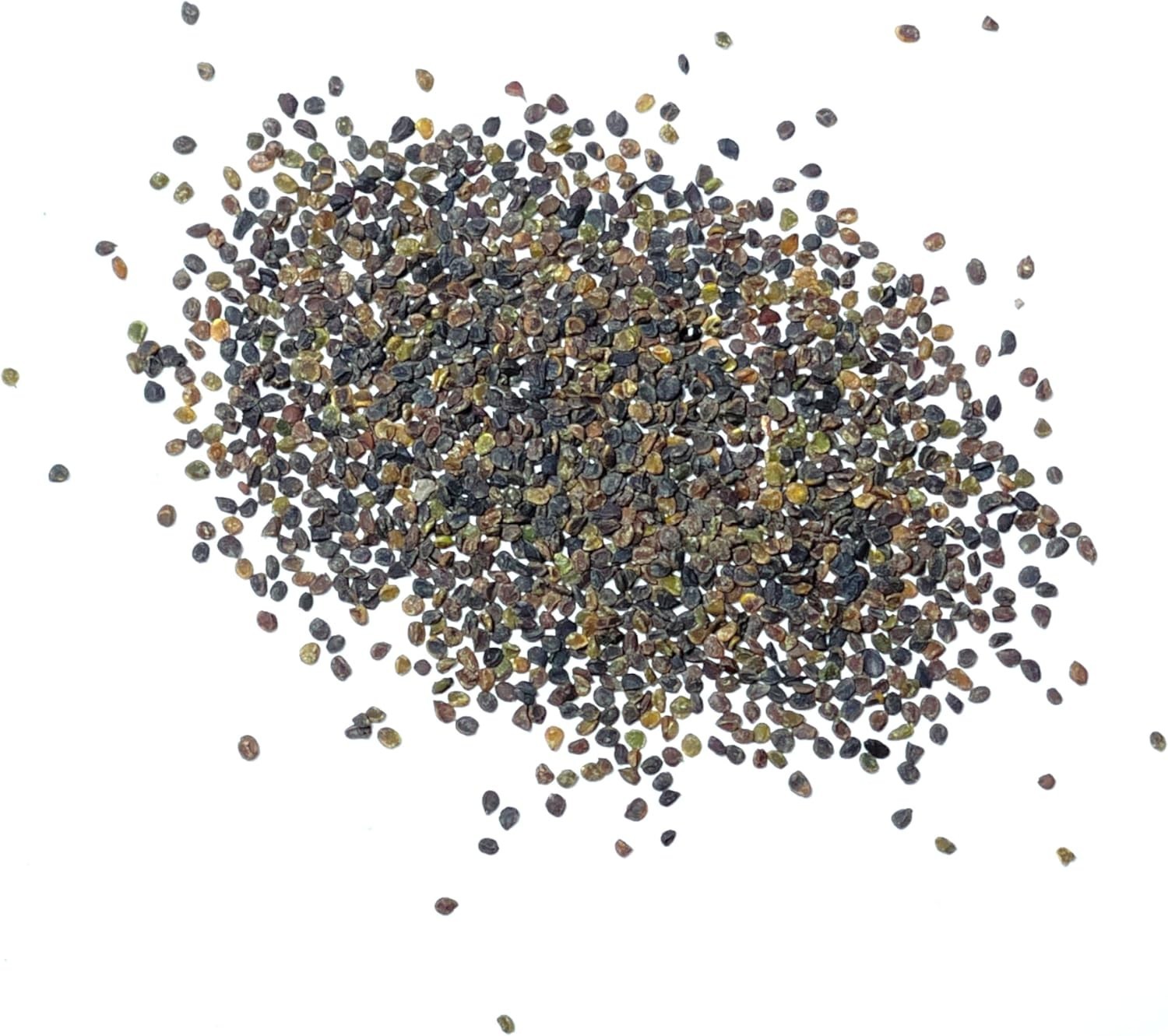 Seed Needs Purple Rockcress Seeds for Planting – Heirloom & Open Pollinated