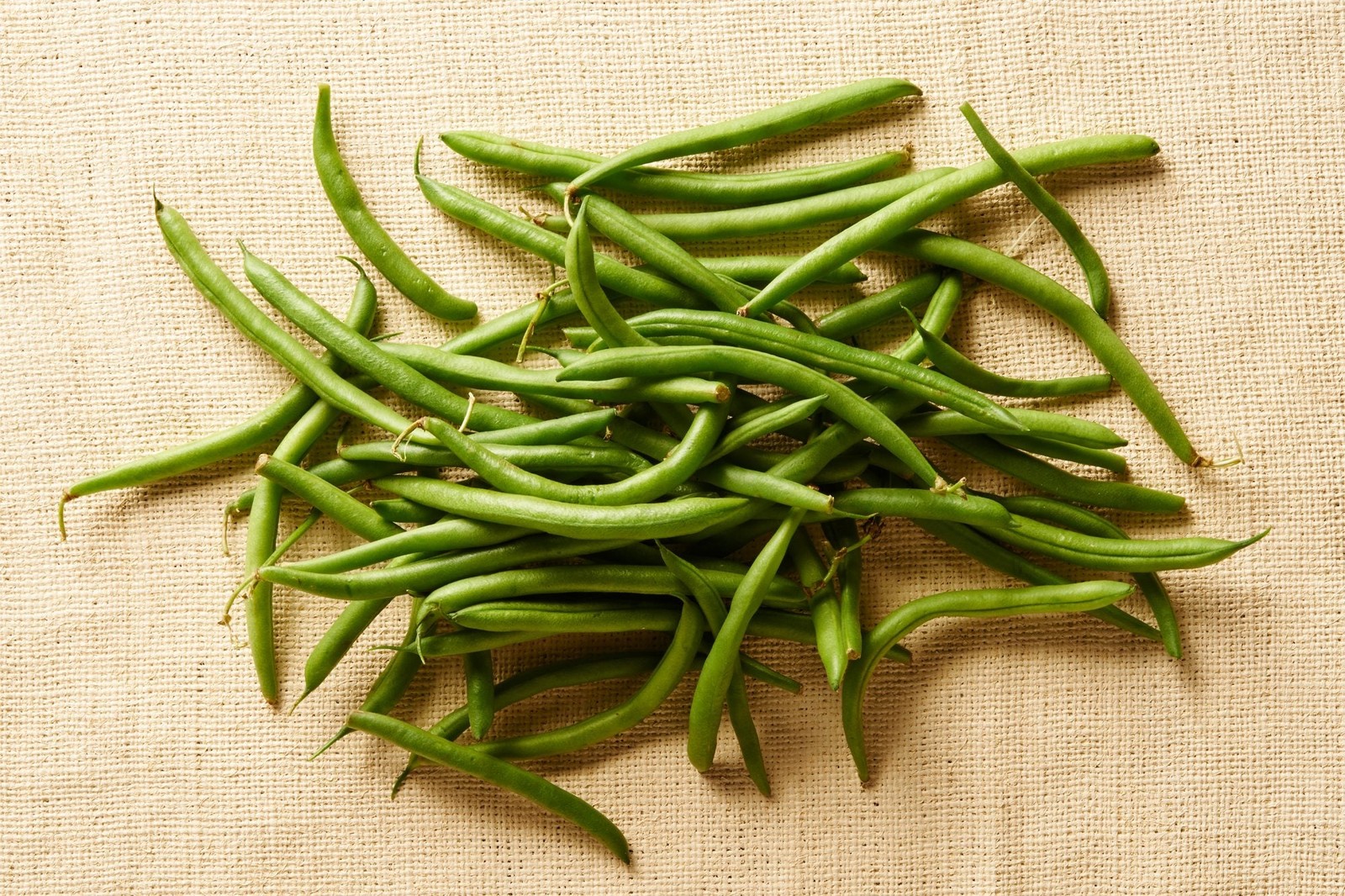 Jade Green Bean Seeds (Bush) | Slender Delicate Haricot Vert Vegetable Seed 2024