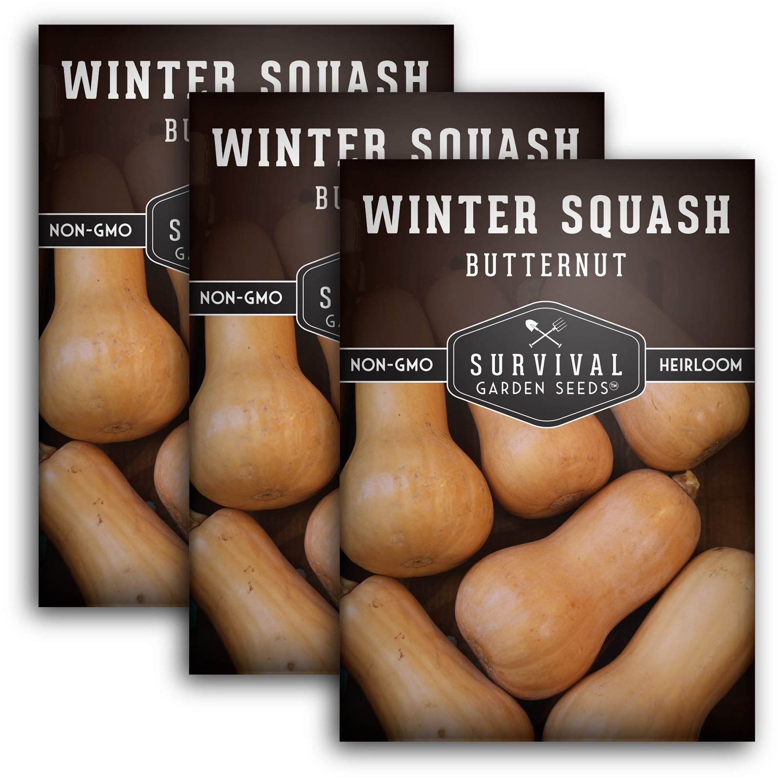 Heirloom Butternut Squash Seeds NonGMO, High Yield, Easy to Grow 2 Packs