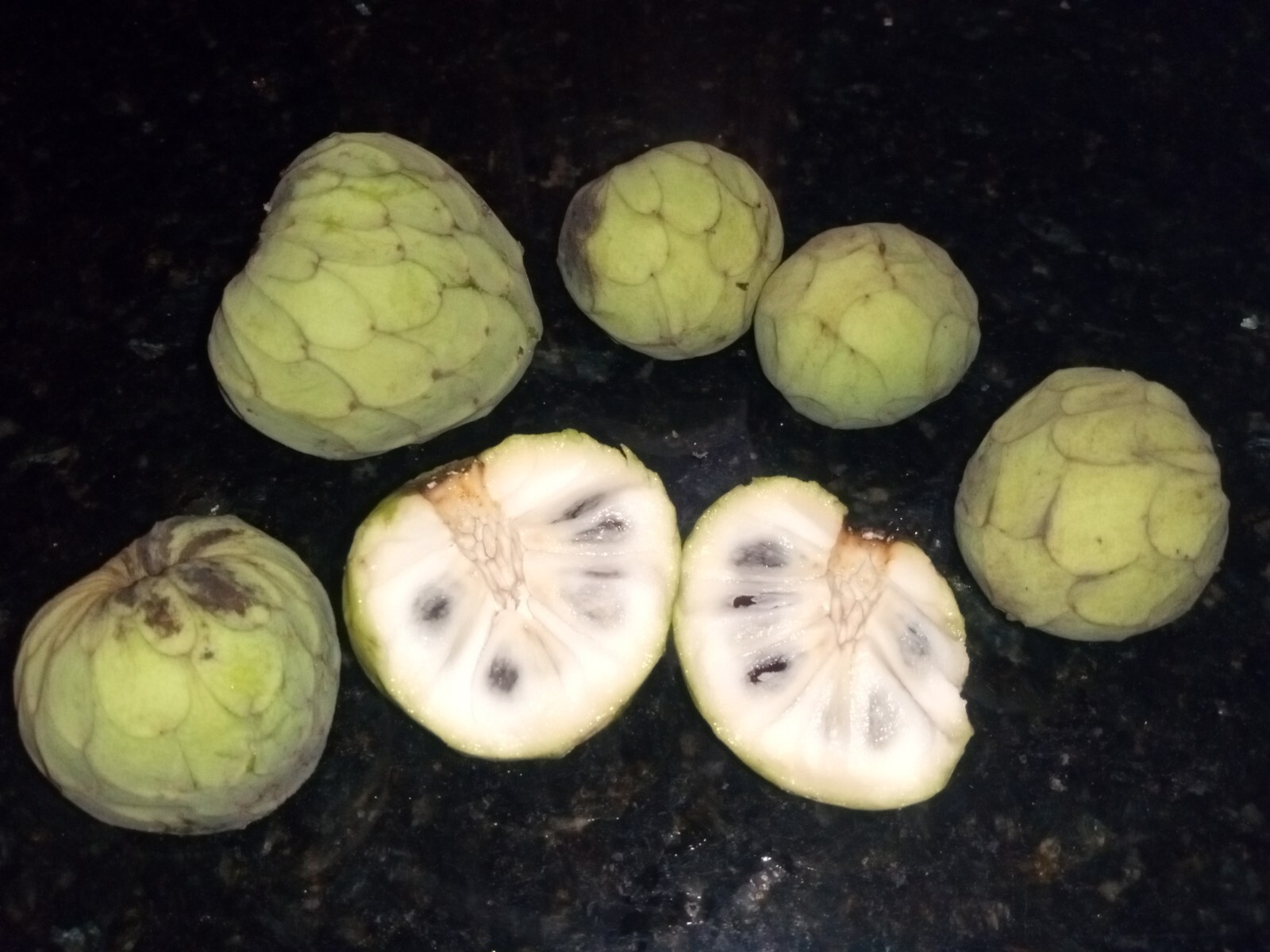 10 Organic Cherimoya/Custard Sugar Apple Tropical Fruit Seeds.US grown seeds.