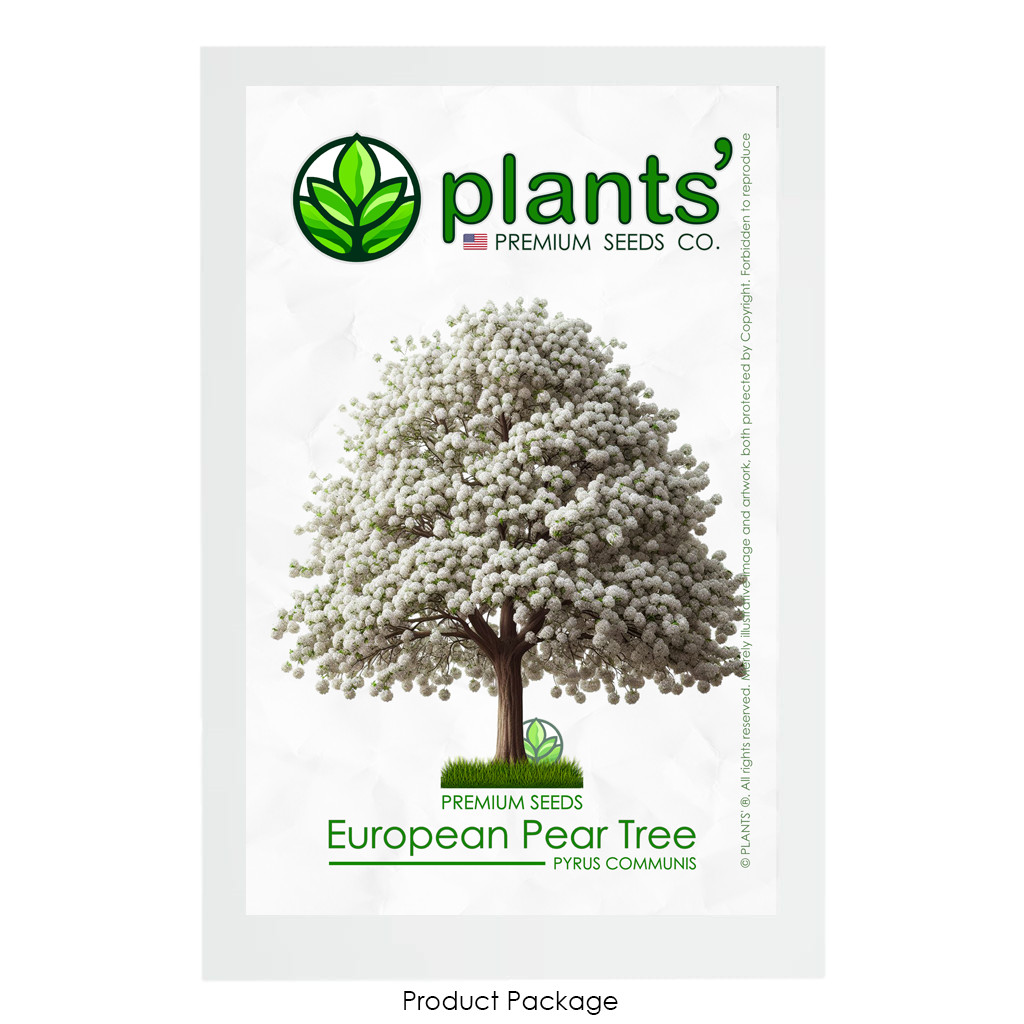 European Pear Tree | Premium Seeds | Pyrus communis ‘Spring’ | Plants’®