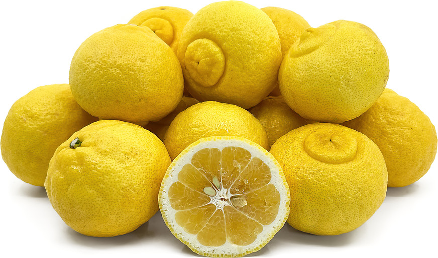Very rare Haruka Citrus- 3 cuttings, fresh, no roots, for grafting or rooting