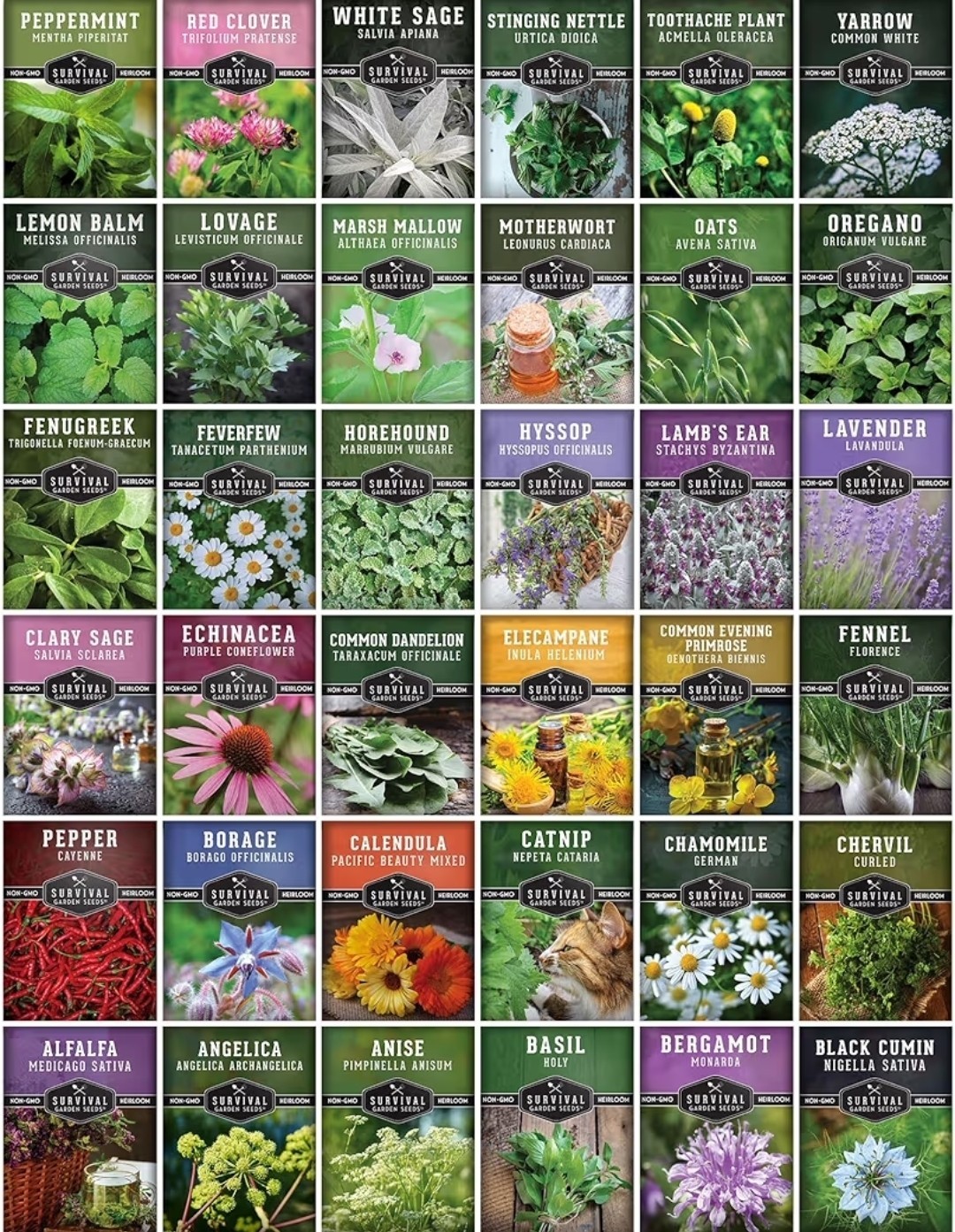 Medicinal Herb Seeds Variety Pack – 36 Type Heirloom Non-GMO Healing Herbs
