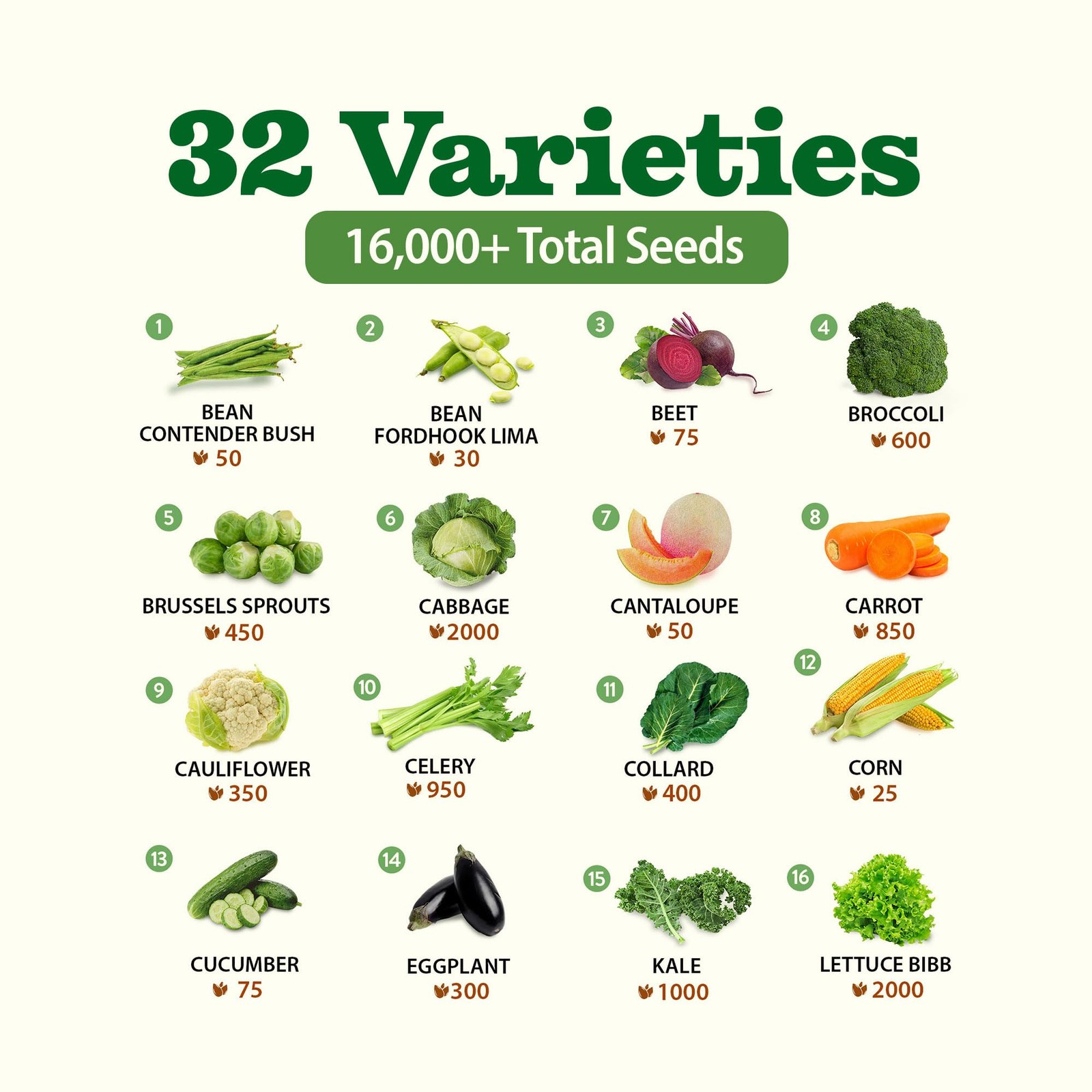 32 Heirloom Vegetable and Fruit Seeds for Planting – 16,000+ Seeds | Non-GMO …