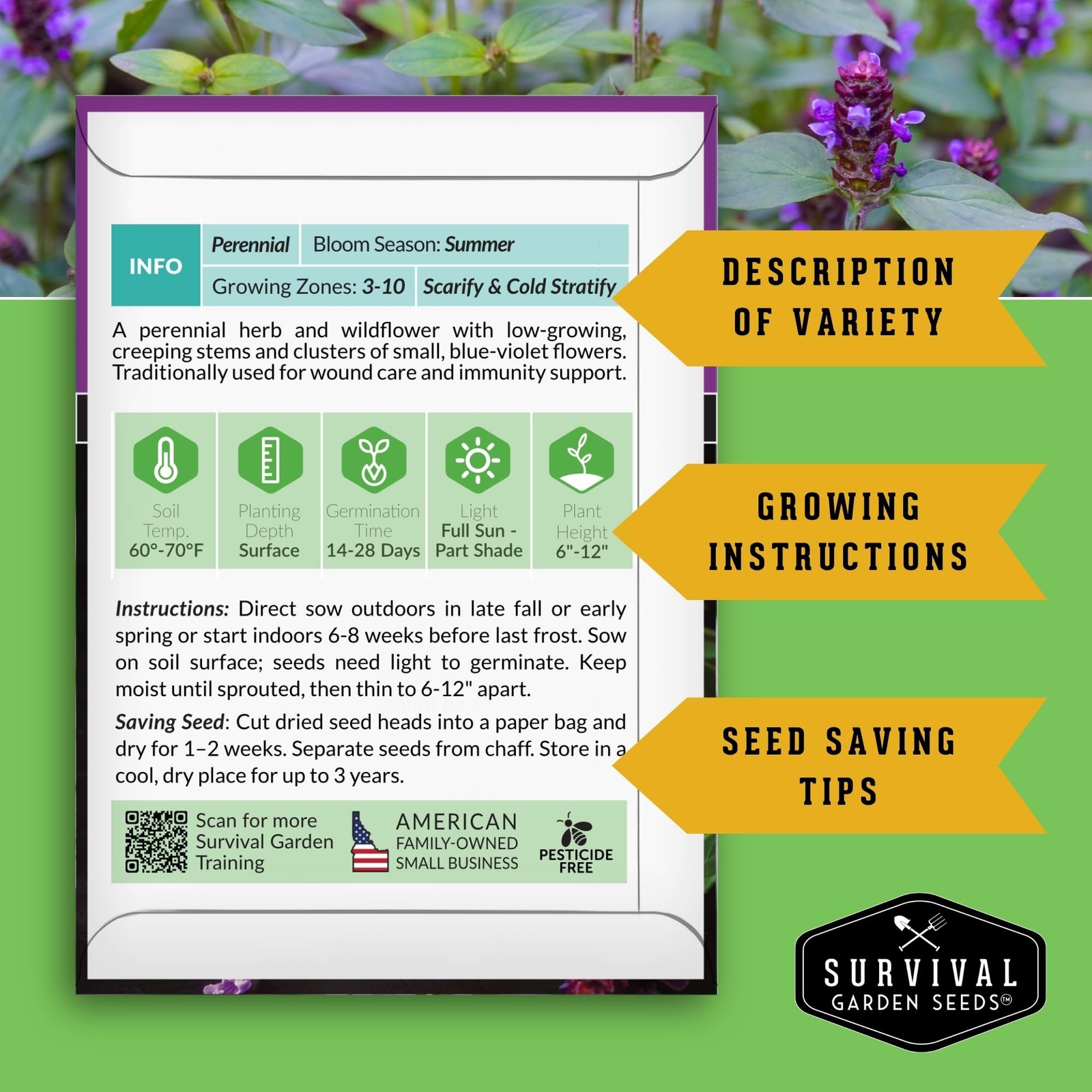 Self-Heal Seeds 2 Packs – Prunella Vulgaris Hardy Perennial Wildflower