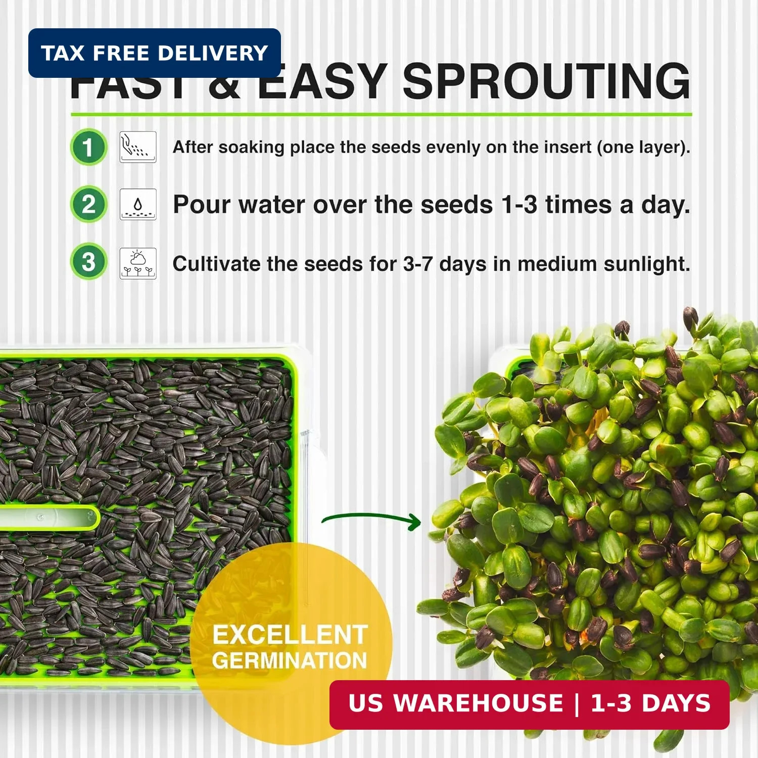 Organic Microgreen Sprouting Seeds 6-Pack – Non-GMO Heirloom Microgreens Seed Va