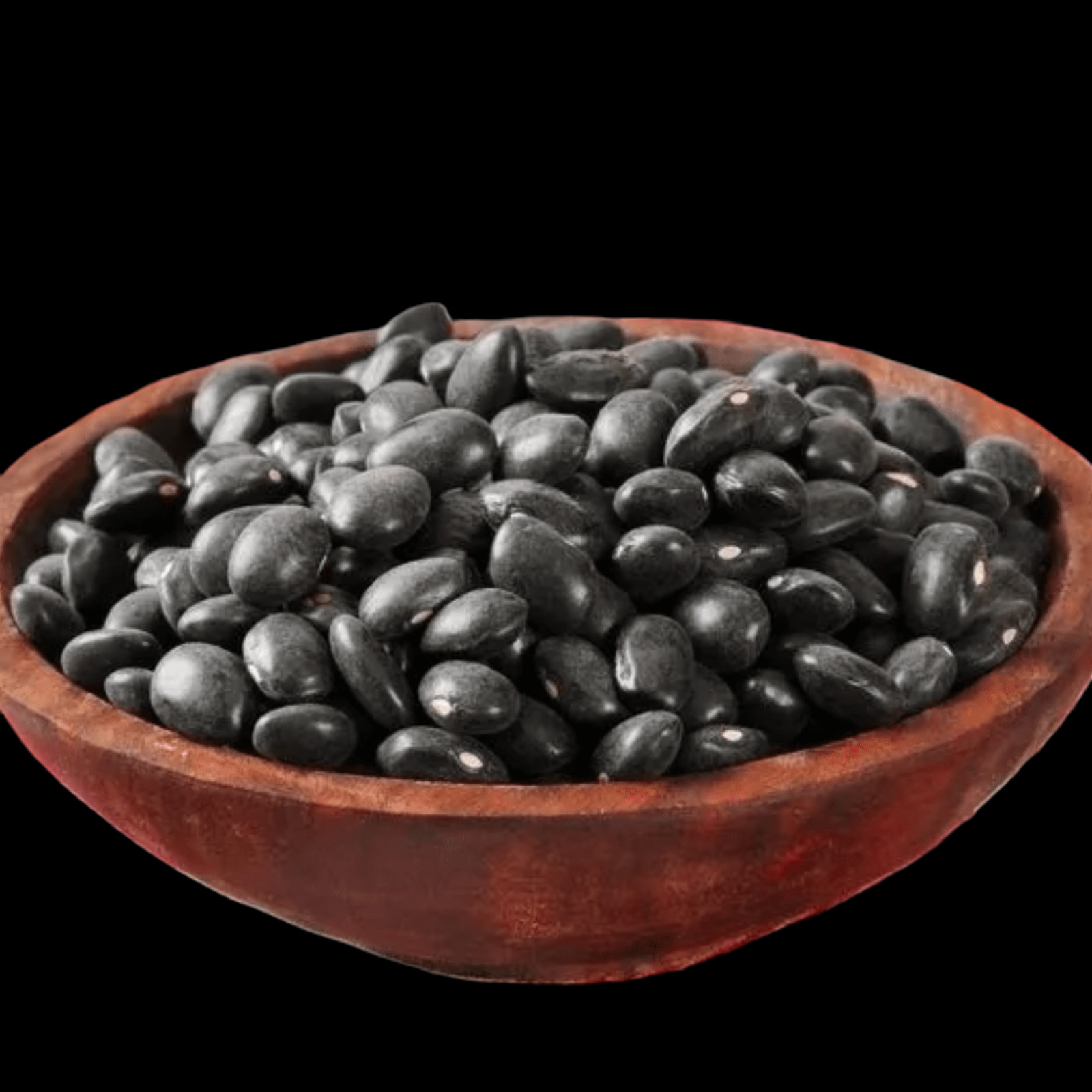 Black Turtle Bean Seeds Treated. FREE SHIPPING!