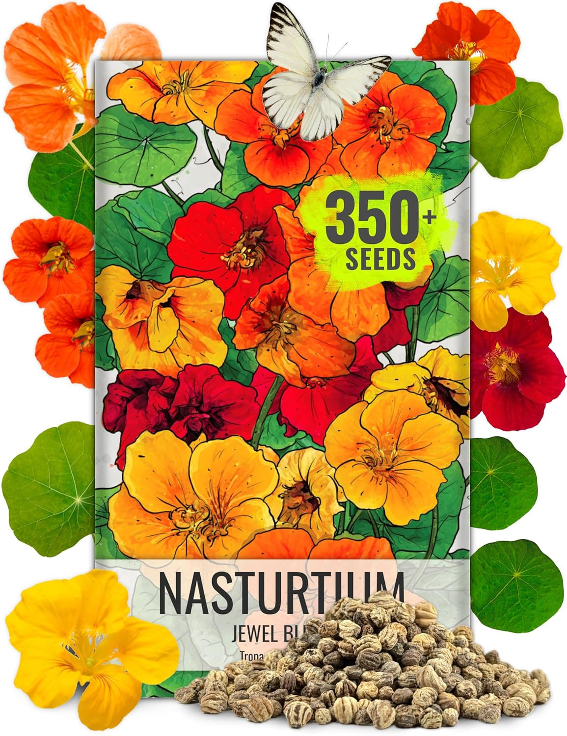 Seed Needs Nasturtium Seeds Jewel Mix Multicolored Edible Flowers | 1.5 Ounce 35